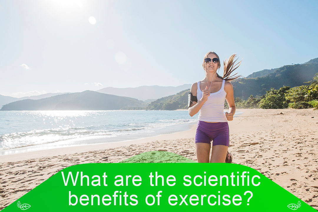 What are the scientific benefits of exercise