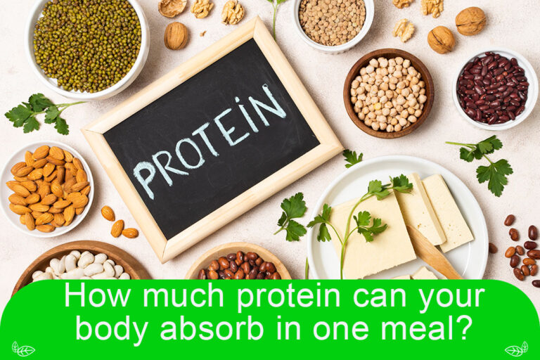 How Much Protein Can Your Body Absorb In One Meal Based On Science 4508